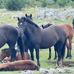 Domek alpejski Etno Selo Relax